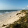 Sommerhus ved blåvand med plads til 4 personer - Image 2