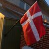 Ferielejlighed i Bork Havn op til 6 pers. F-1003 - Image 19