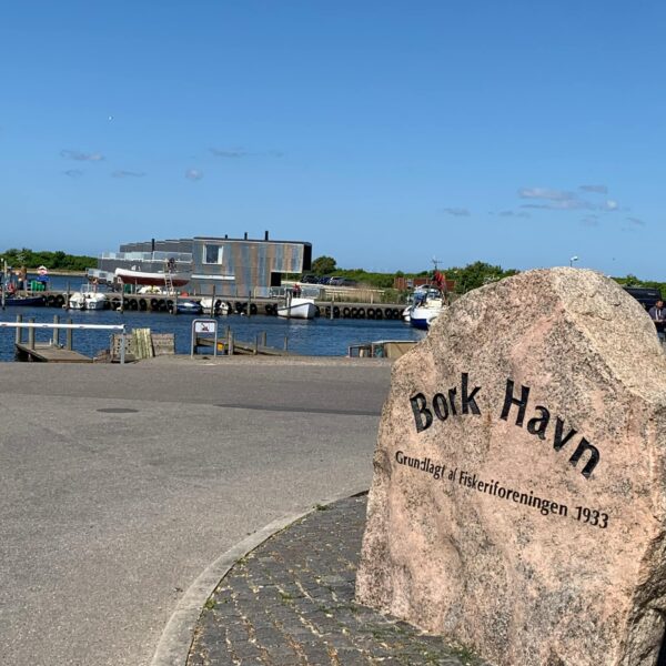 Ferielejlighed i Bork Havn op til 6 pers. F-1003 - Image 35