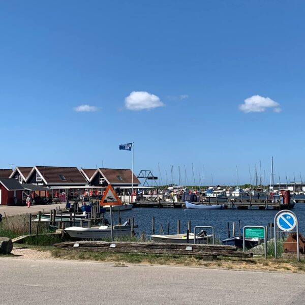 Ferielejlighed i Bork Havn op til 6 pers. F-1003 - Image 36
