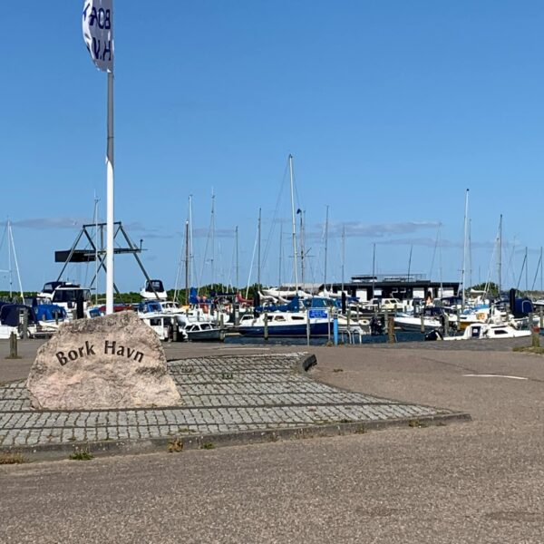 Ferielejlighed i Bork Havn op til 6 pers. F-1003 - Image 44